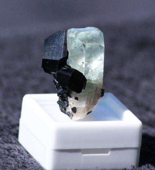 Beautiful terminated Aquamarine crystal with black tourmaline crystals